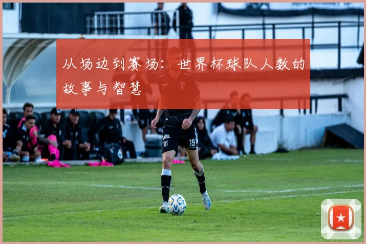 从场边到赛场：世界杯球队人数的故事与智慧