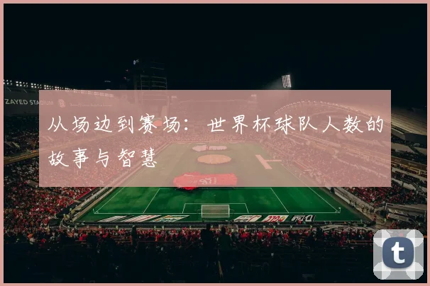 从场边到赛场：世界杯球队人数的故事与智慧