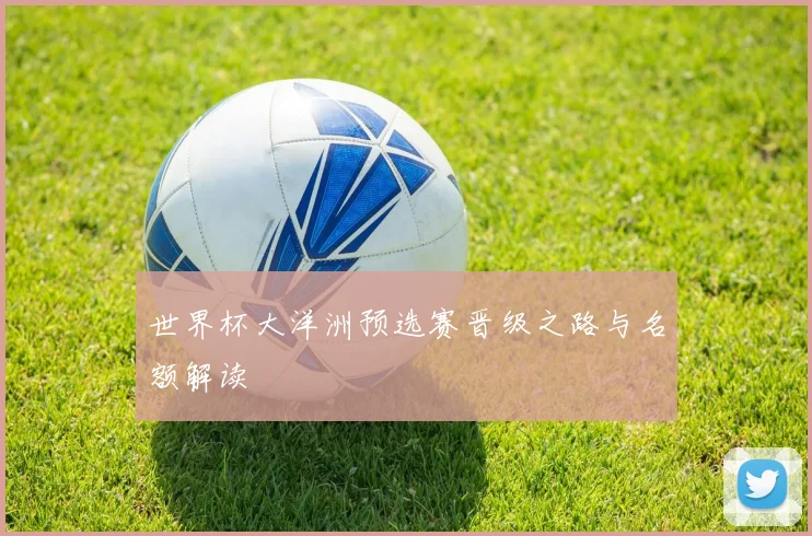 世界杯大洋洲预选赛晋级之路与名额解读