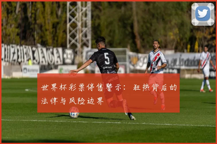 世界杯彩票停售警示：狂热背后的法律与风险边界