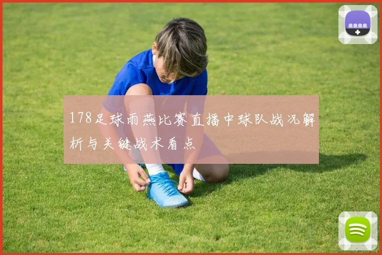 178足球雨燕比赛直播中球队战况解析与关键战术看点